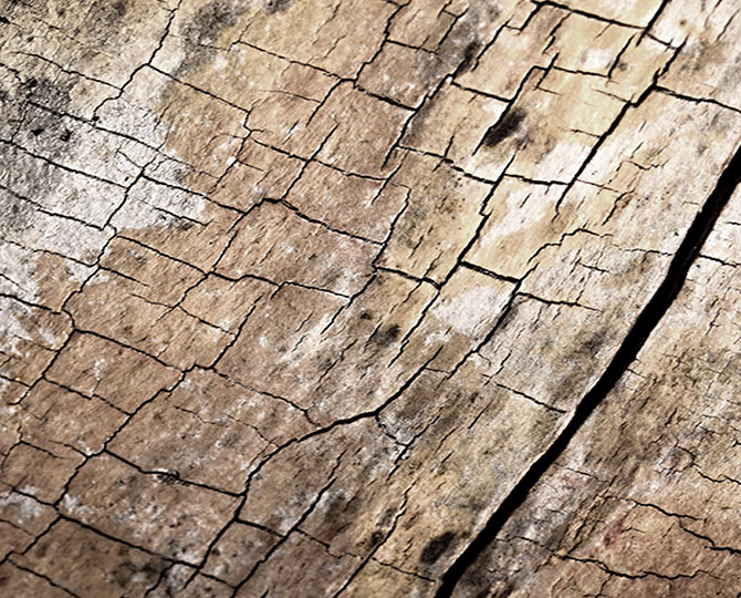 LANDS GRY Loop自然纹理（木质）商用地毯砖