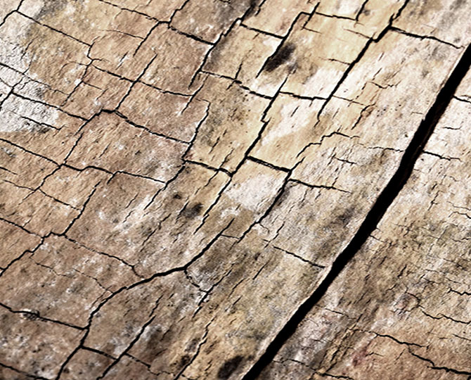 Land Dark Loop天然纹理（木质）商用地毯砖