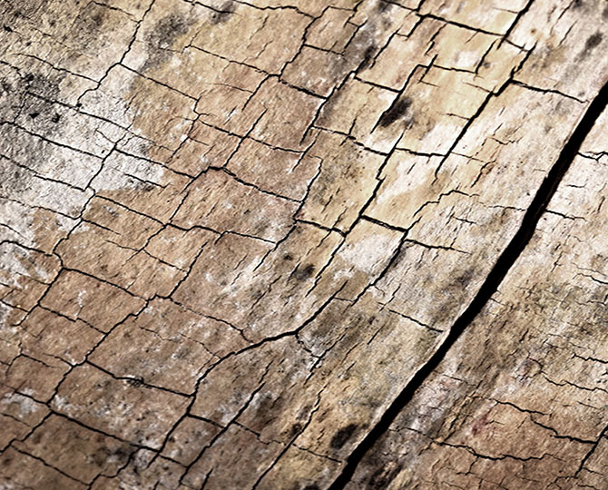 LANDS浅灰色环状自然纹理（木质）商用地毯砖